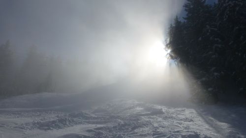 allgäu alpine pointed fog