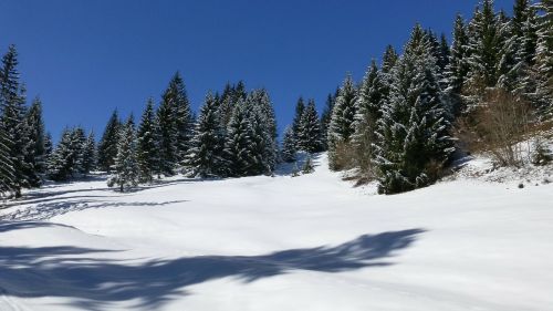 allgäu winter snow