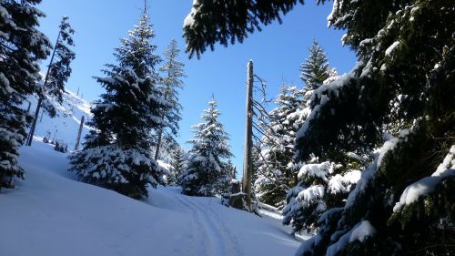 allgäu winter snow