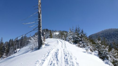 allgäu winter snow