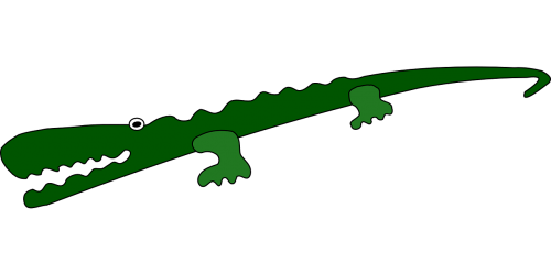 alligator crocodile reptile