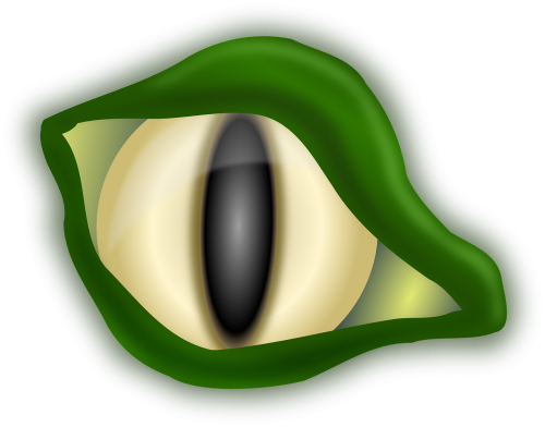 alligator crocodile eye