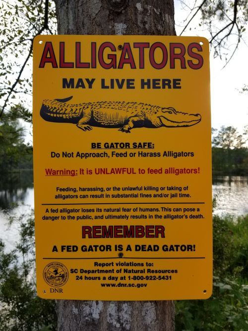 alligator sign warning