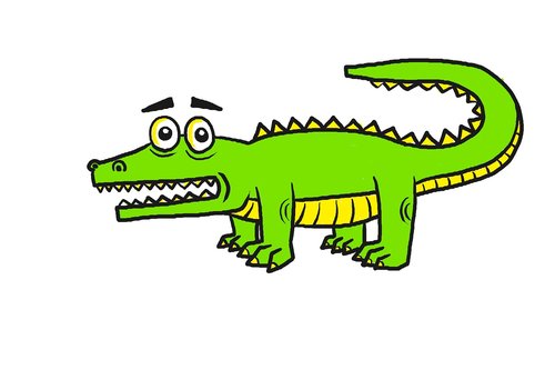 alligator  cartoon  kids