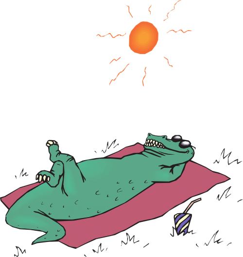 alligator sunbathe sun