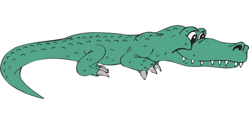 alligator view happy