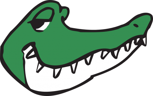 alligator head smile