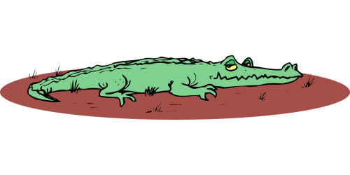 alligator mud ground