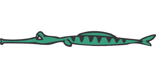 alligator predator flattened