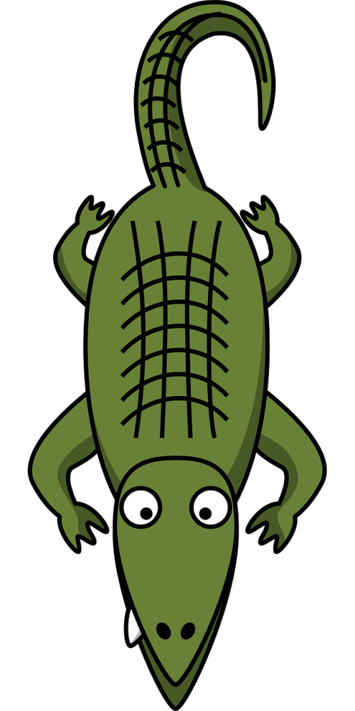 alligator reptile crocodile