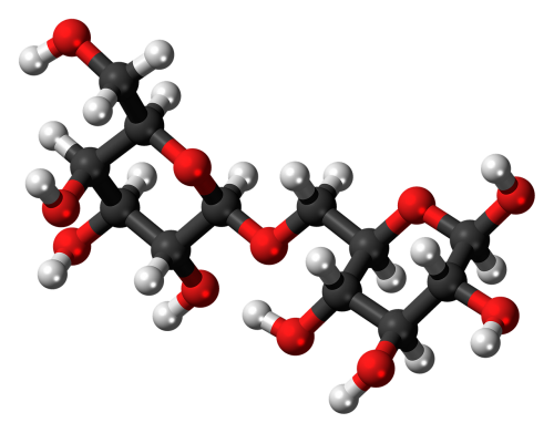 allolactose molecule model