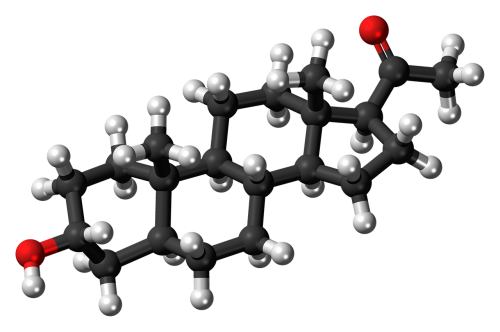 allopregnanolone molecule model