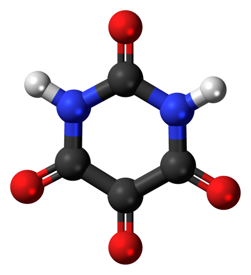 alloxan molecule model