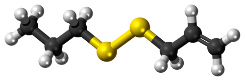 allylpropyldisulfide molecule model