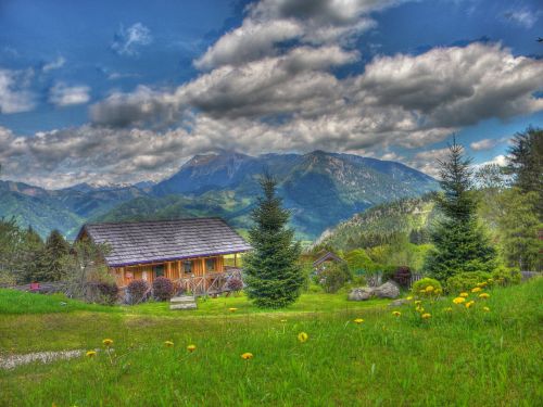 alm hdr meadow