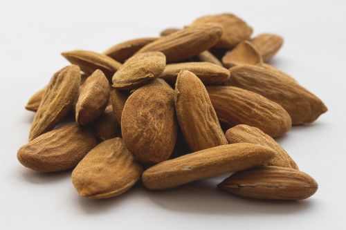 almond stone seeds