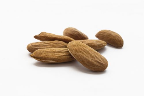 almond stone seeds
