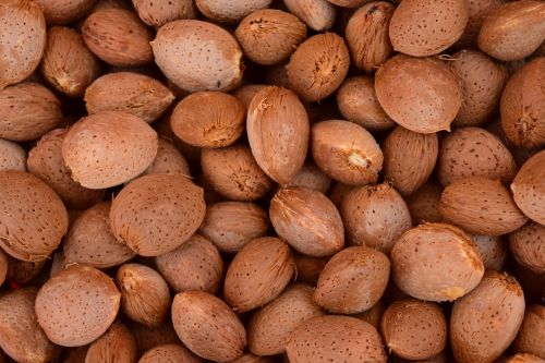almonds background frisch