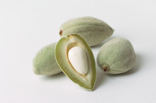 almonds hulls nut