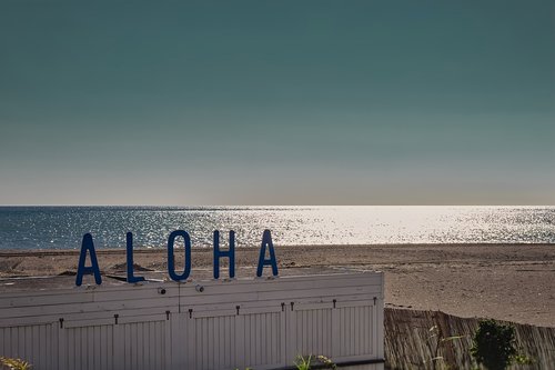 aloha  hawaii  sign