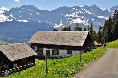 alp switzerland hut