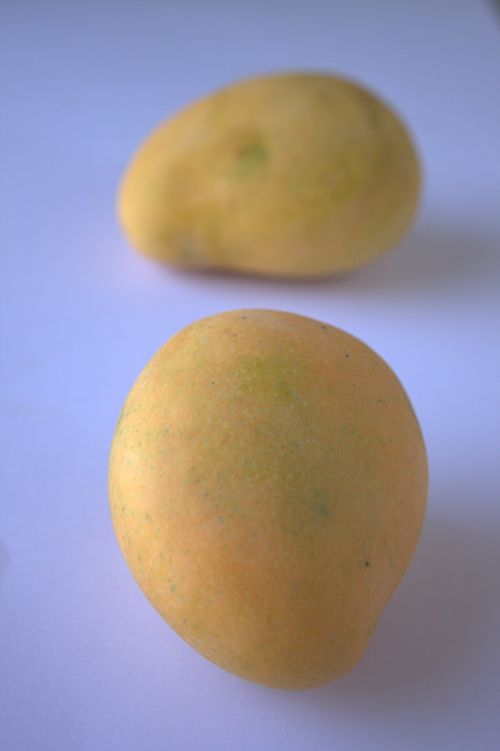 alphonso mango mango sweet