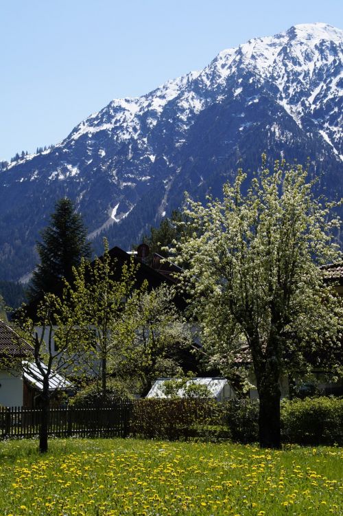 alpine allgäu spring