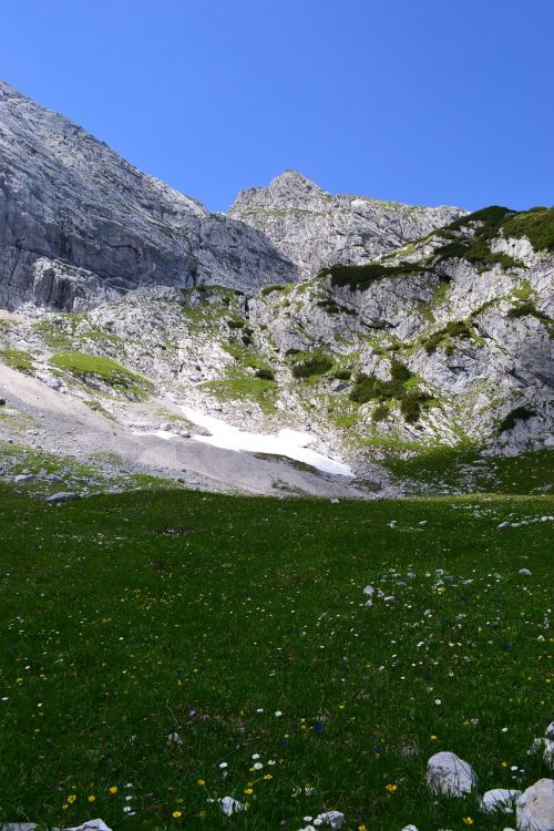 alpine alphabet meadow