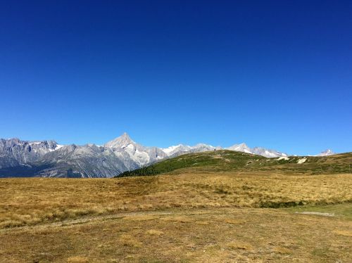 alpine switzerland nature