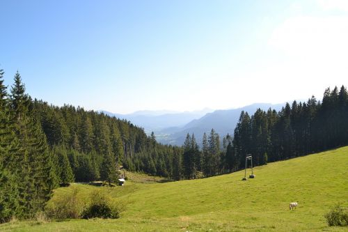 alpine mountains meadow