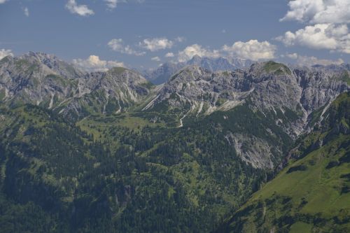 alpine foghorn mountains