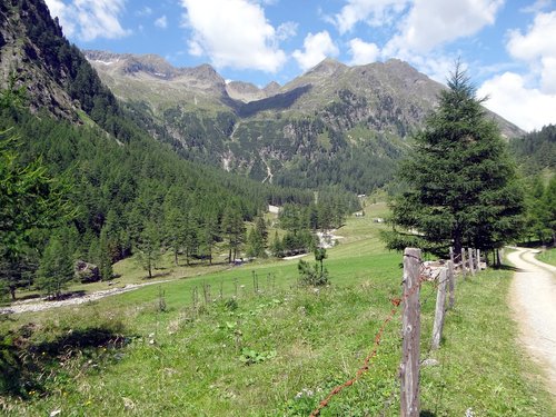 alpine  hiking  mountains