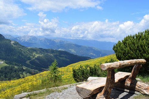 alpine  mountains  summer