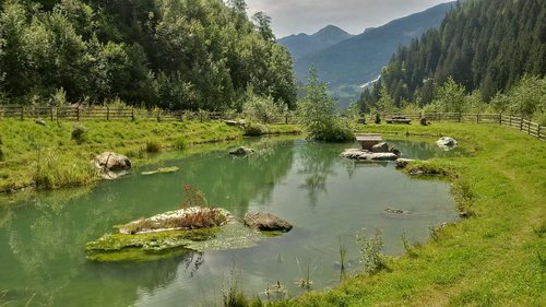 alpine  lake  bergsee