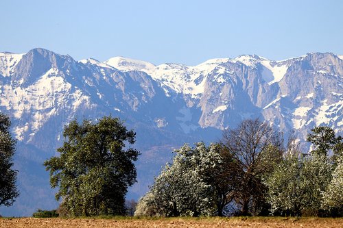 alpine  spring  landscape