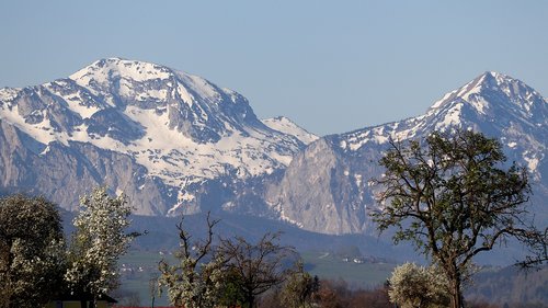 alpine  spring  landscape