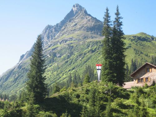 alpine mountain home