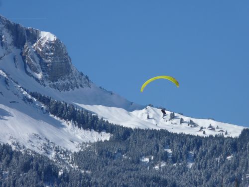 alpine paraglider fly