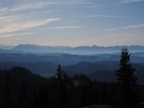 alpine alpine panorama sneezing