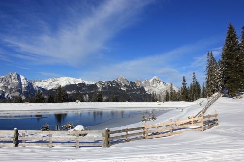 alpine winter fence