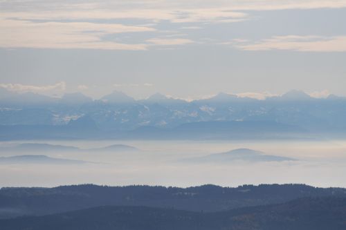 alpine black forest panorama