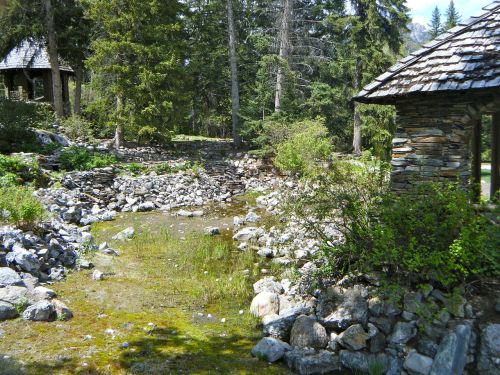 alpine rockery garden