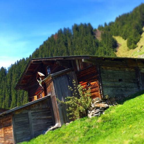 alpine hut alm mountain hut