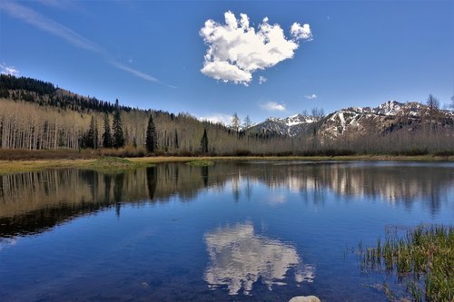 alpine lake  reflection  cloud