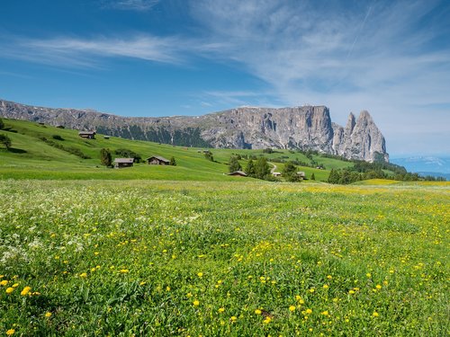alpine meadow  mountains  schlern
