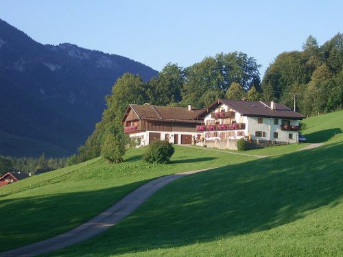 alpine pasture nature mountains