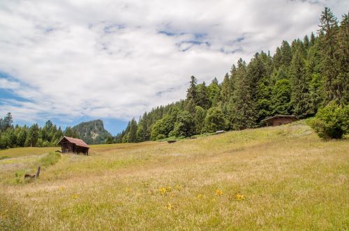 alps field hut