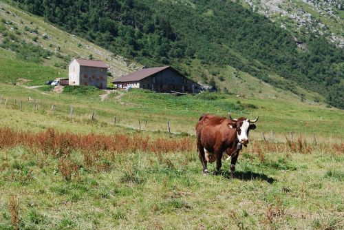 alps hiking holiday