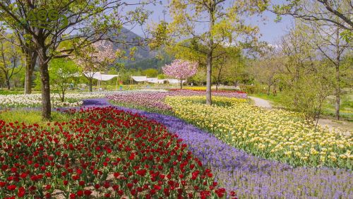 alps azumino park