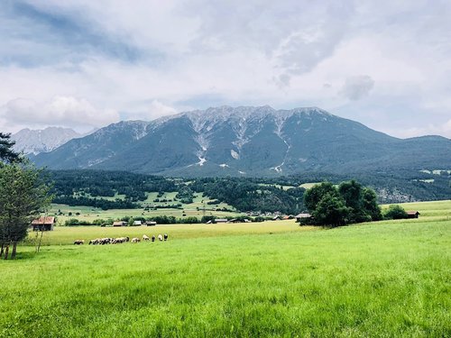 alps  nature  mountains